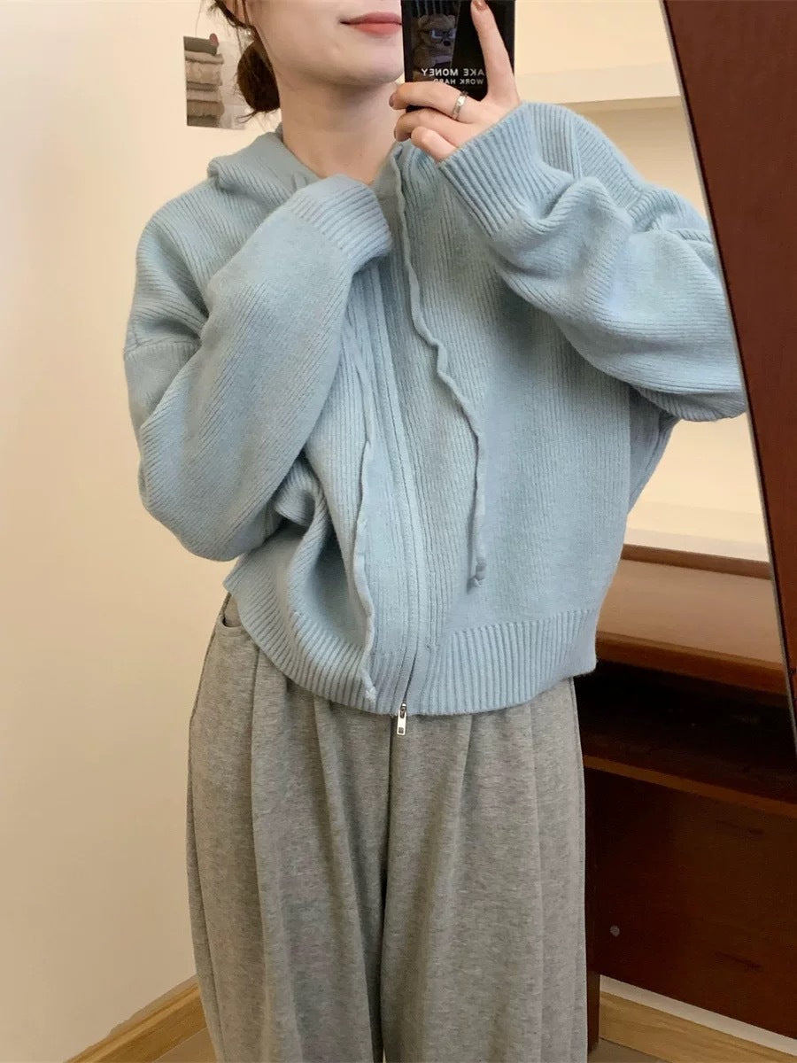 ARLENE ? Cozy Long Sleeve Hooded Cardigan